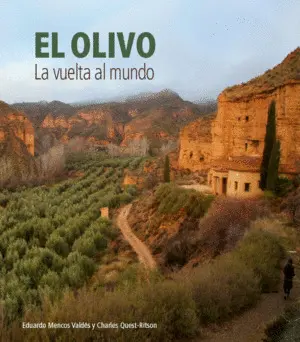 EL OLIVO