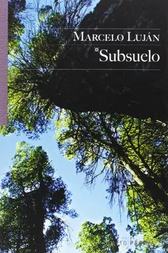 SUBSUELO