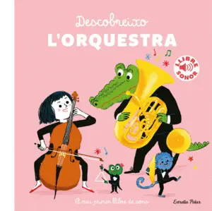 DESCOBREIXO L´ORQUESTRA