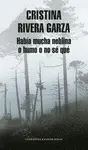 HABÍA MUCHA NEBLINA O HUMO O NO SÉ QUÉ