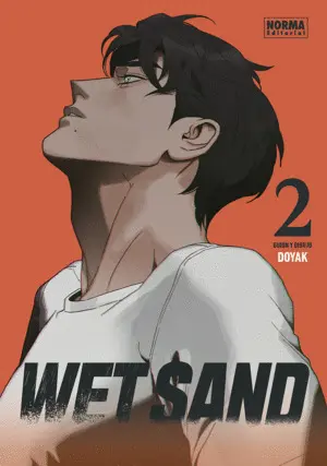 WET SAND