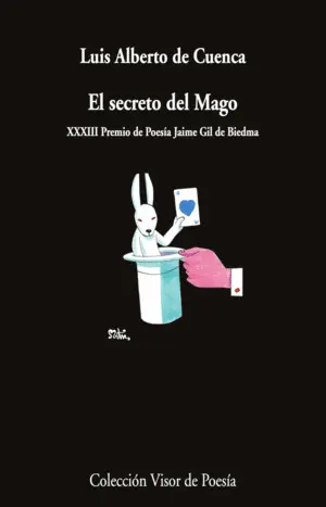 EL SECRETO DEL MAGO